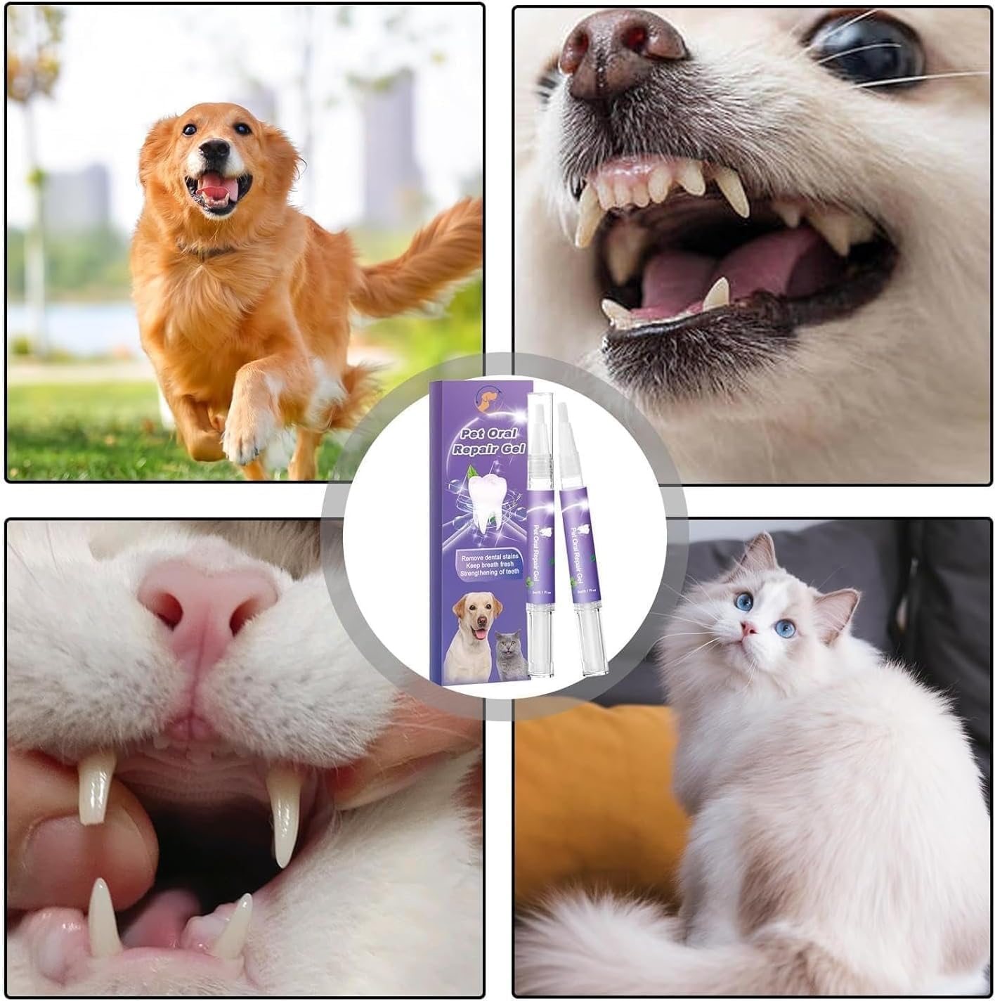 (1+1 Free) Oralglow – For Healthy Teeth And Fresh Breath For Your Pet!